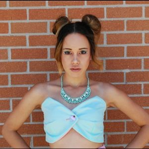 Vintage Inspired disney dress